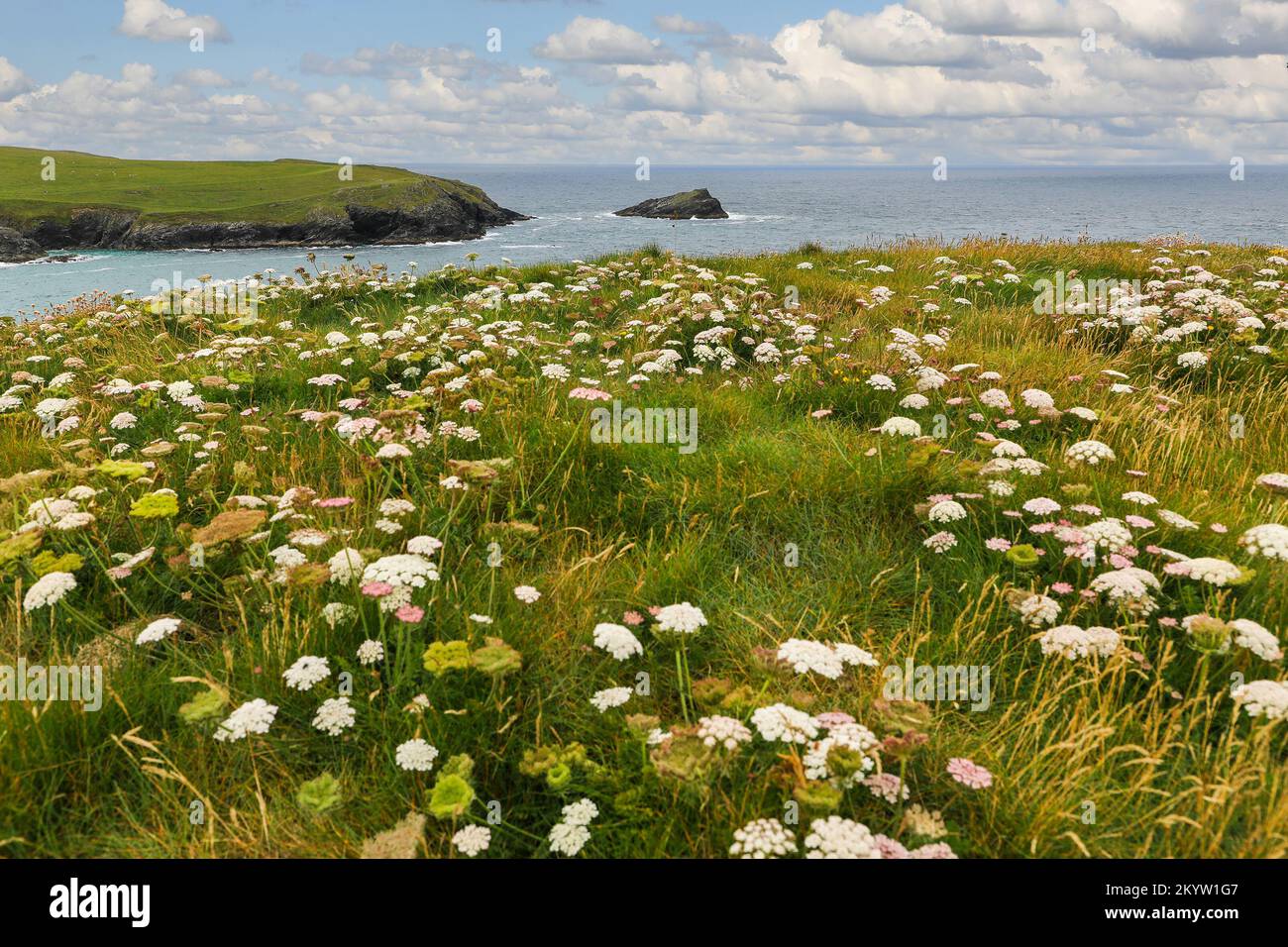 Porth Joke o Polly Joke Beach cerca de Crantock, Cornwall, suroeste, Inglaterra, Reino Unido Foto de stock