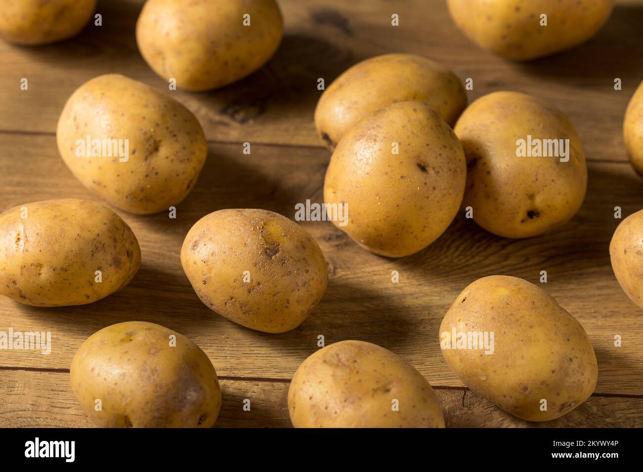 Patatas amarillas crudas caseras en un manojo Foto de stock
