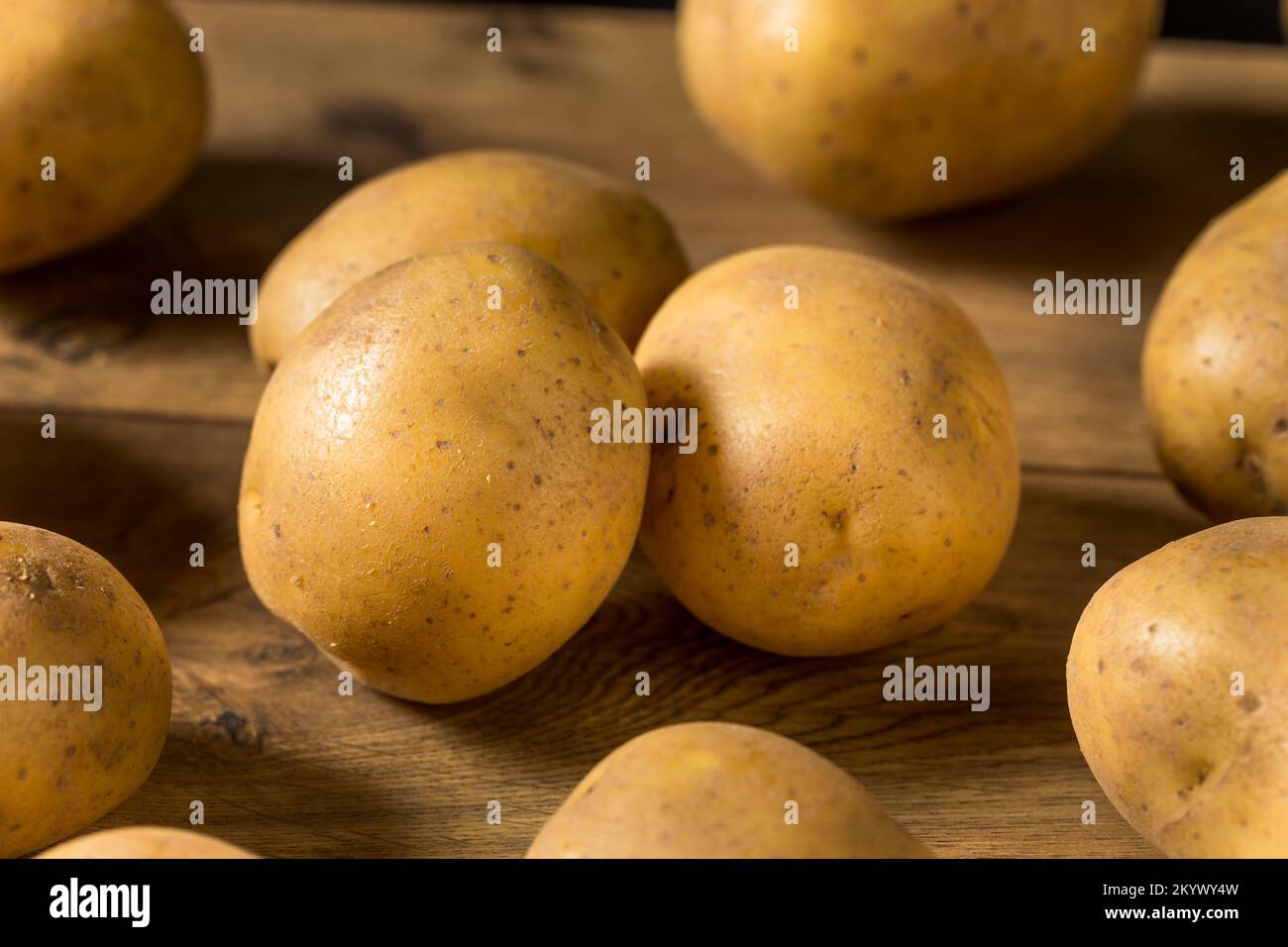 Patatas amarillas crudas caseras en un manojo Foto de stock