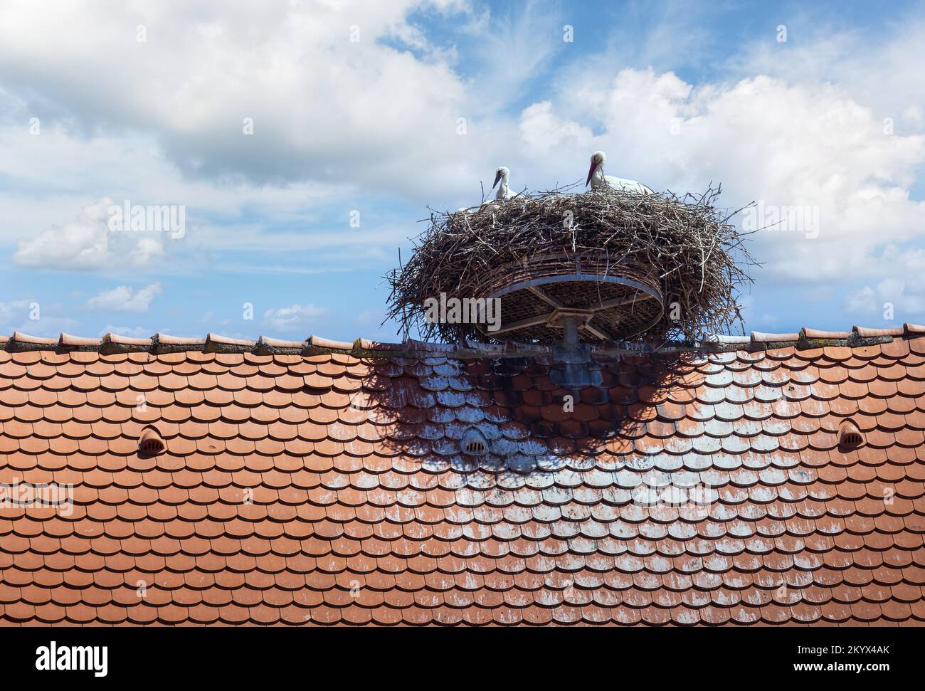 Tejados con cigüeñas en la ciudad de Ribeauville Francia Foto de stock