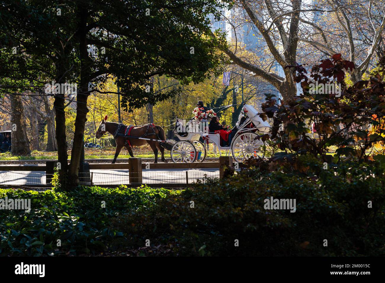 Nueva York, Estados Unidos. 02nd de Dic de 2022. Gente montando en carruaje de caballos en Central Park el soleado día de otoño (Foto por Lev Radin/Pacific Press) Crédito: Pacific Press Media Production Corp./Alamy Live News Foto de stock