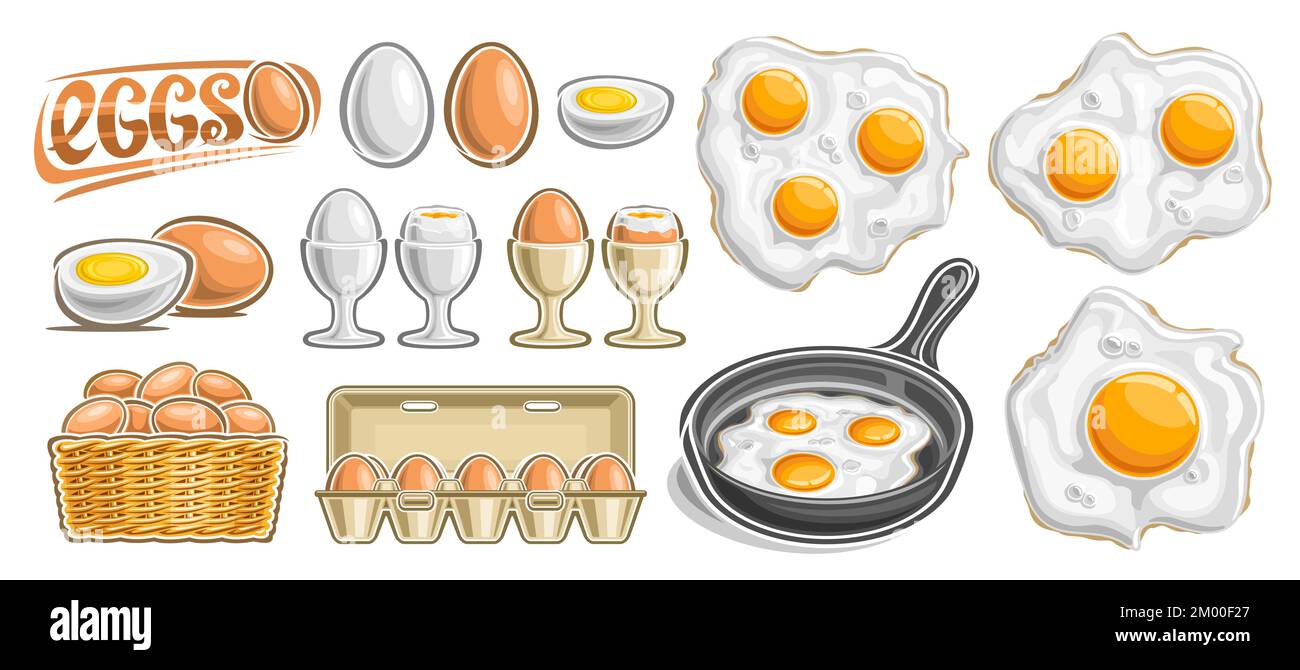 Vector huevos conjunto, banner horizontal con lote de la colección de ilustraciones cortadas abierto los huevos agrietados en la taza, varios aislado vista superior pollo frito, por ejemplo Ilustración del Vector