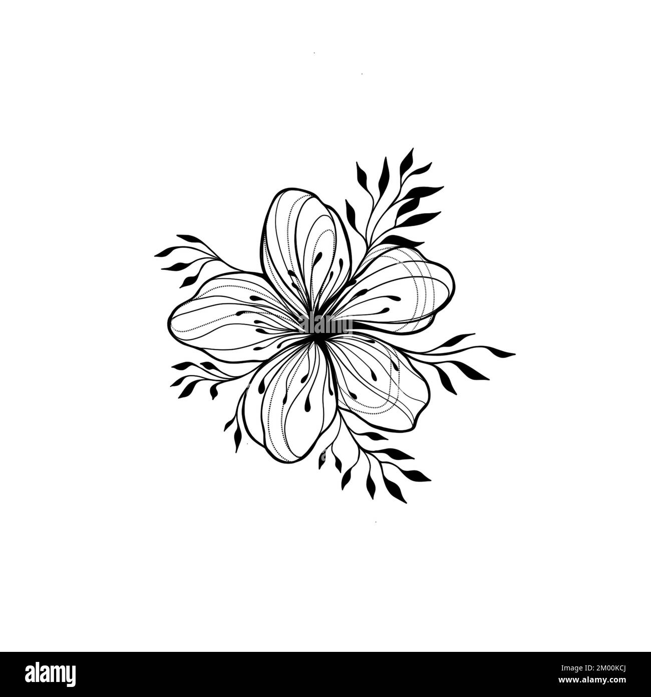 Flor del almendro Imágenes de stock en blanco y negro - Alamy