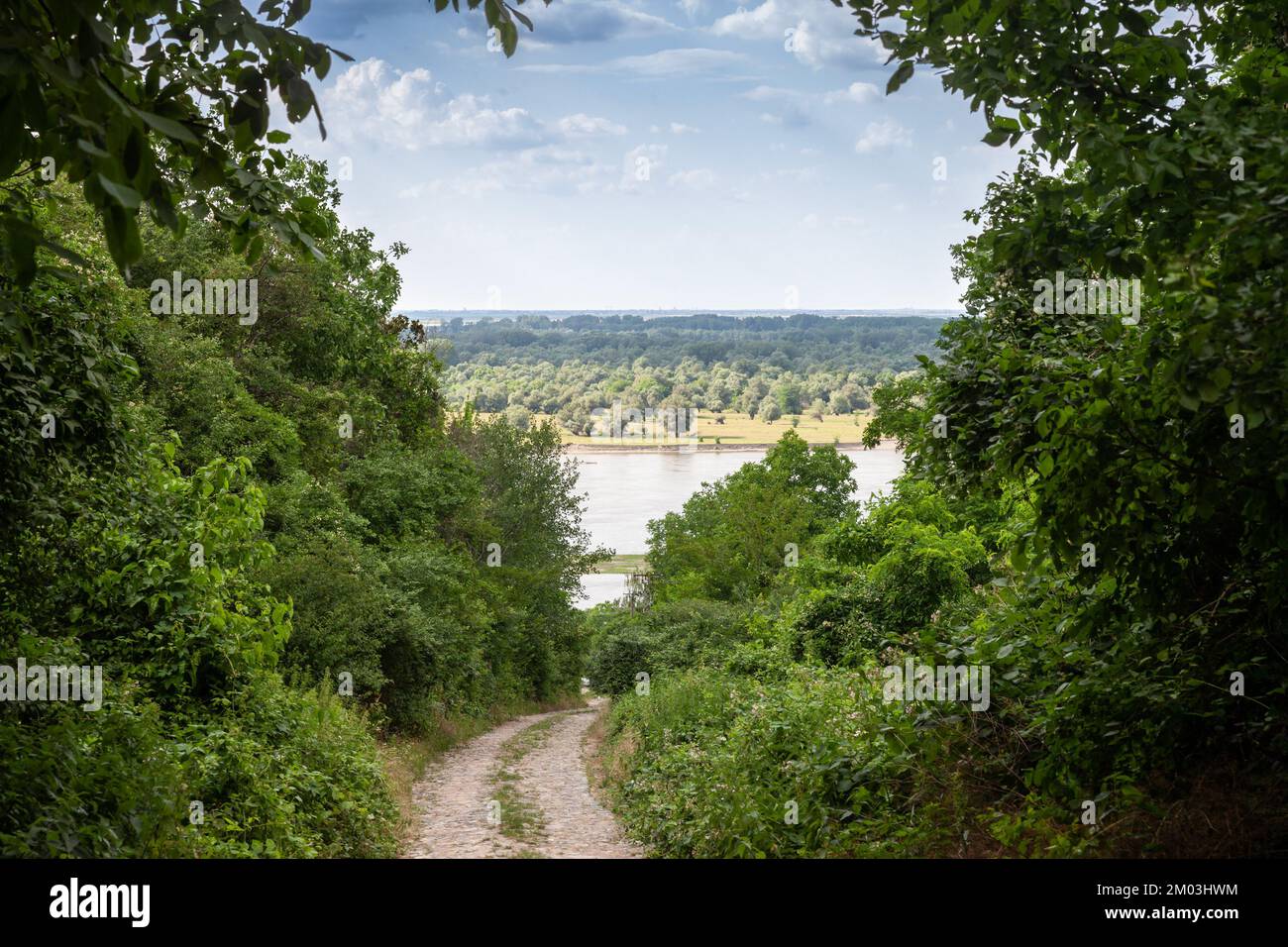 Panorama del río Danubio en Serbia en Krcedin, Vojvodina. El Danubio es el río más grande de Europa Central. Foto de stock