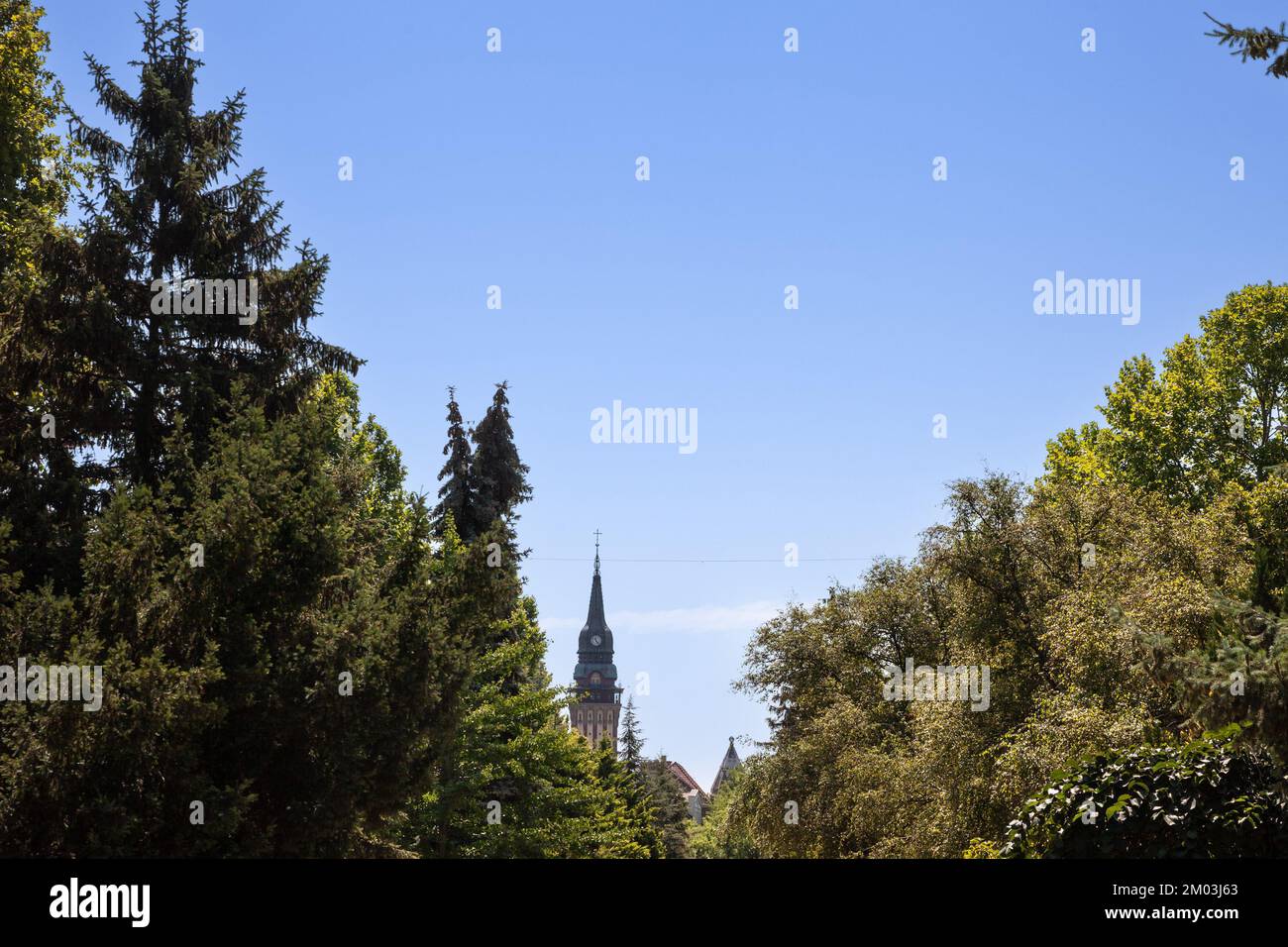 Imagen de la torre del ayuntamiento de Subotica durante la tarde. El Ayuntamiento de Subotica se encuentra en Subotica, en la provincia de Vojvodina An Foto de stock
