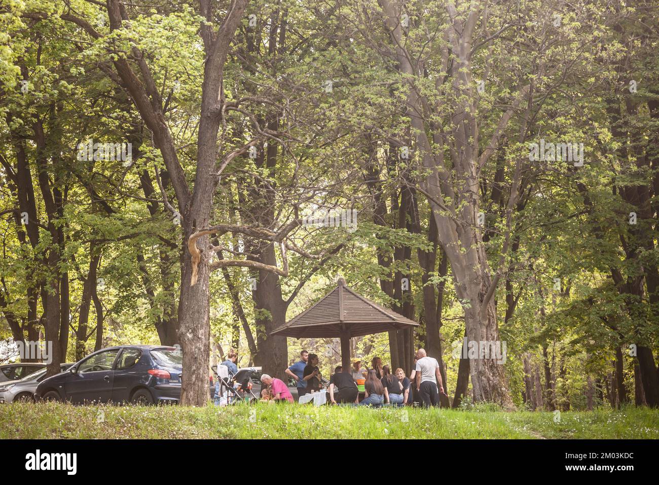 Foto de un grupo de personas, una familia, haciendo un picnic en un parque público de Belgrado, Serbia, el 1st de mayo, día del trabajo. Foto de stock