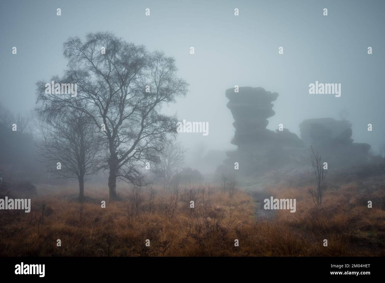 Escena de niebla en Brimham Rocks, North Yorkshire Foto de stock