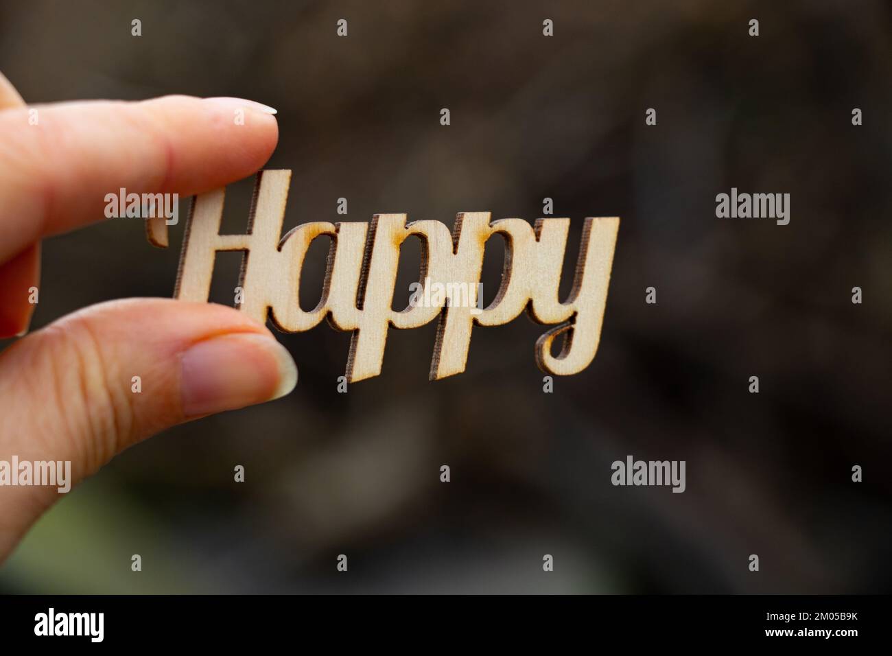 La palabra feliz hecha de letras de madera sostiene a la niña sobre un fondo borroso Foto de stock
