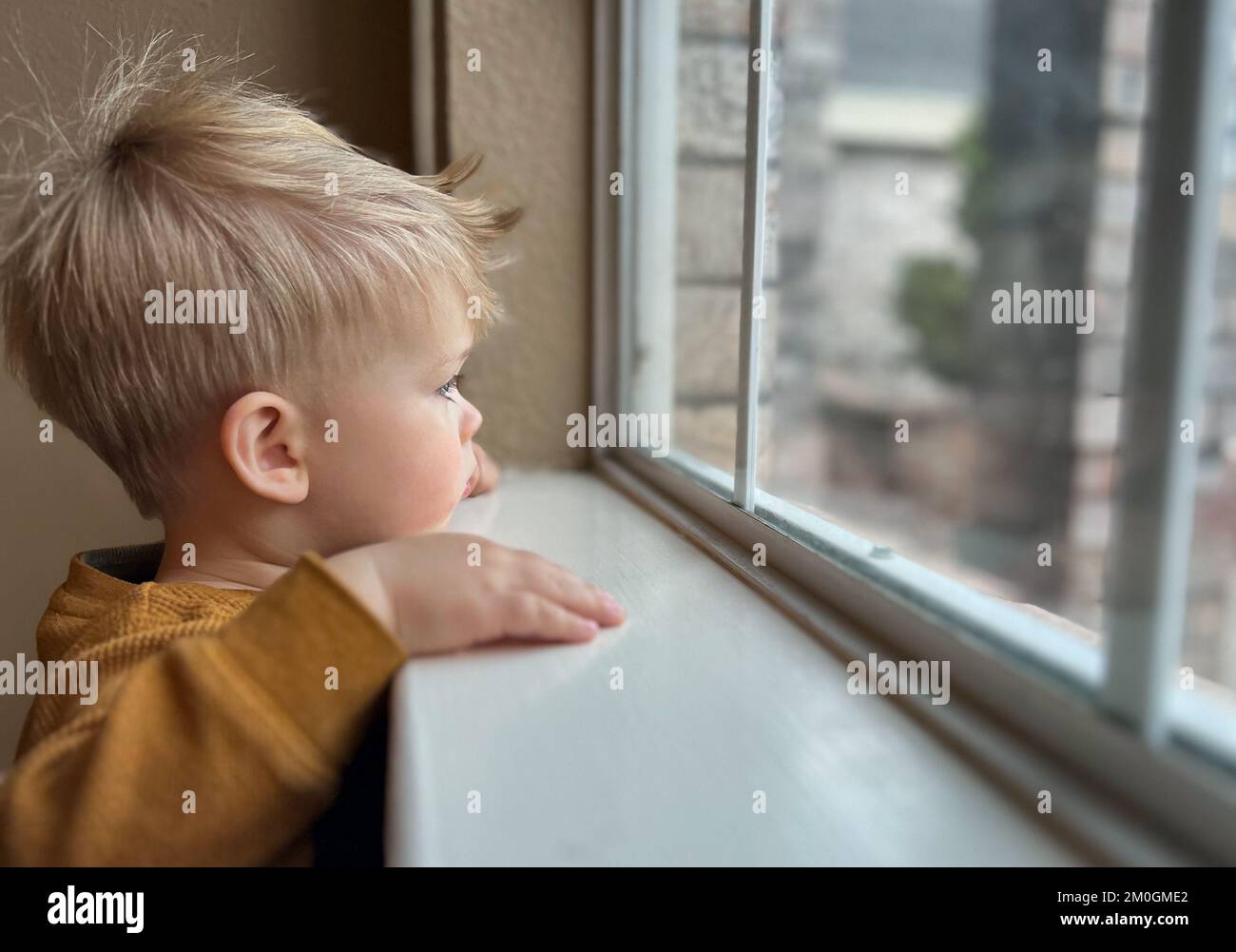 Lindo niño mirando la ventana en casa, retrato de cerca Foto de stock