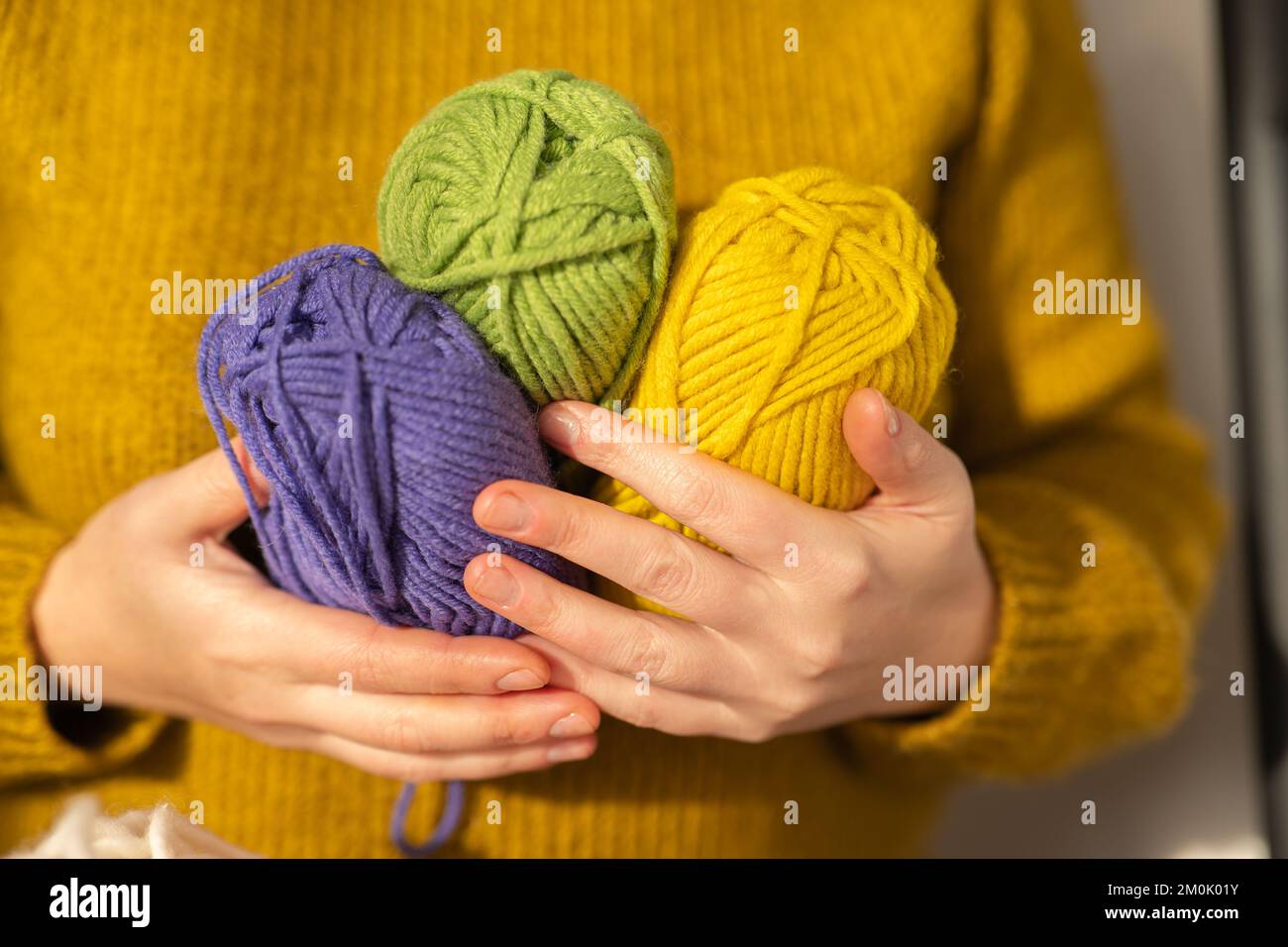 Hilados de lana de color amarillo, morado y verde. Tejido hobby.broches de  hilo de varios colores en las manos en un jersey de lana de mostaza.Hobby y  costura Fotografía de stock -