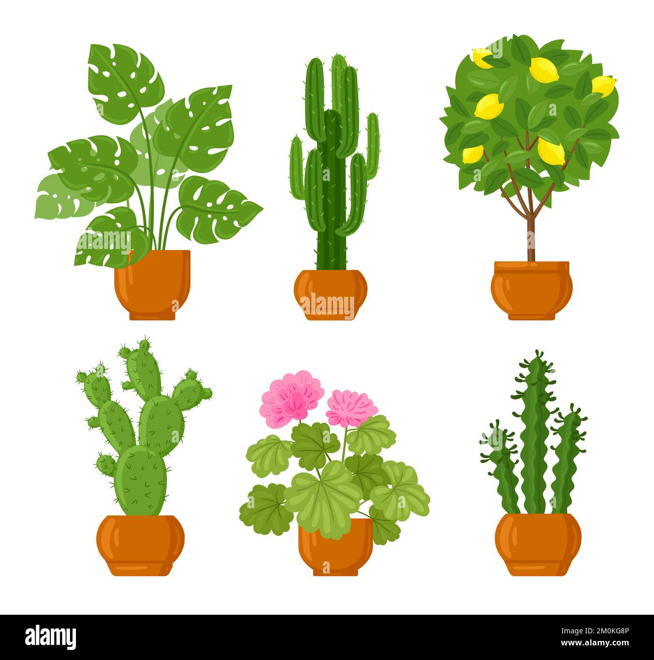 Casa de dibujos animados decoración botánica plantas en macetas. Diferentes  plantas de interior con hojas verdes, flores rosadas y cítricos limón  Imagen Vector de stock - Alamy