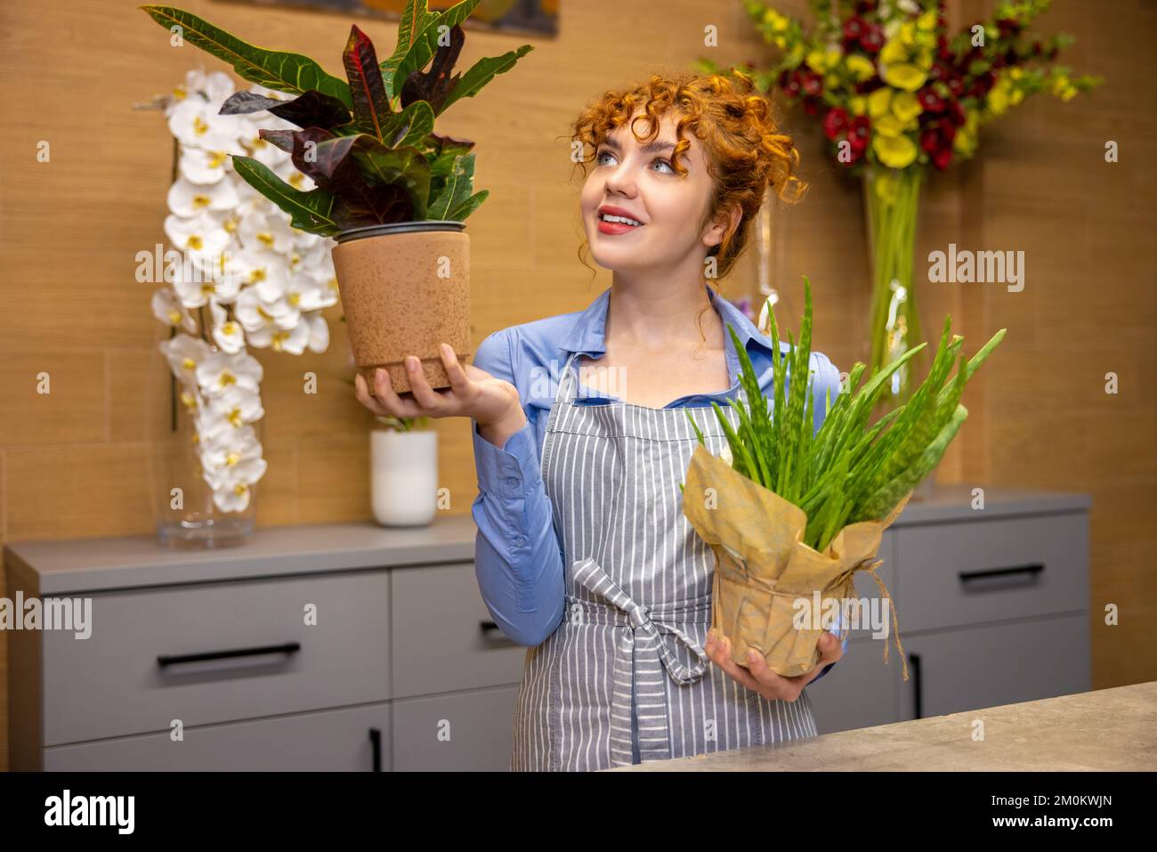 Jengibre joven florista en una floristería Foto de stock