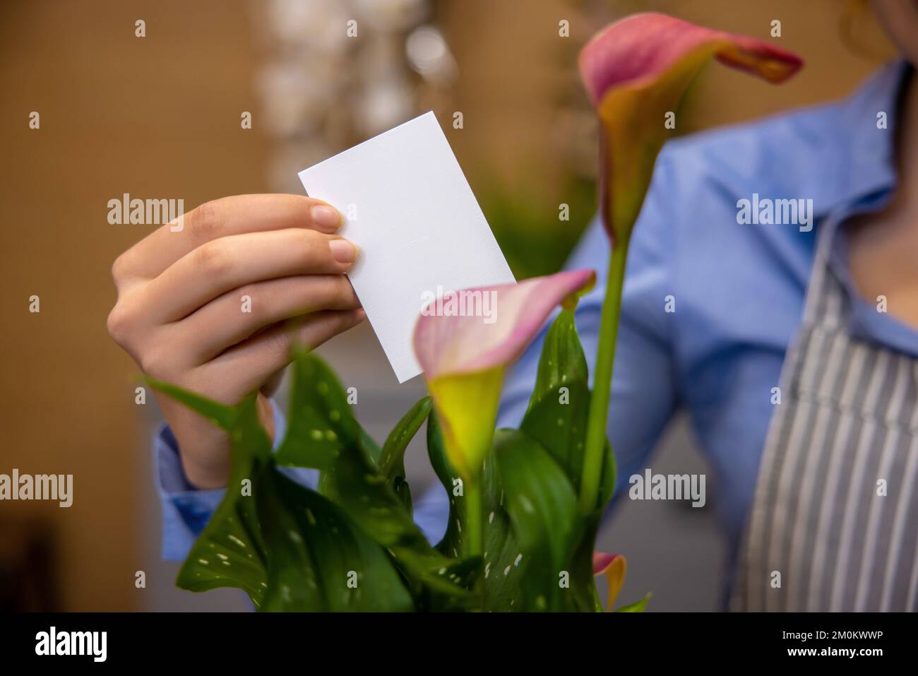 Primer plano de la mano femenina Poniendo una tarjeta en un ramo Foto de stock