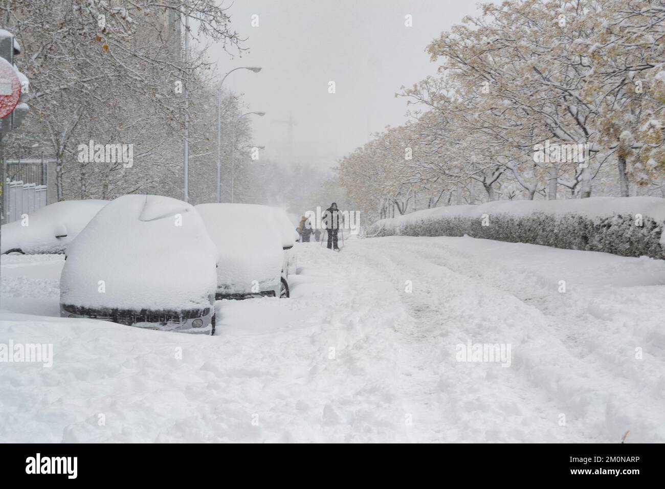 Nieve. Calles cubiertas de una manta blanca de nieve que cubre todos los elementos que hay en la calle. Coches completamente blancos. Noviembre. 2023. Ohio. ESTADOS UNIDOS Foto de stock