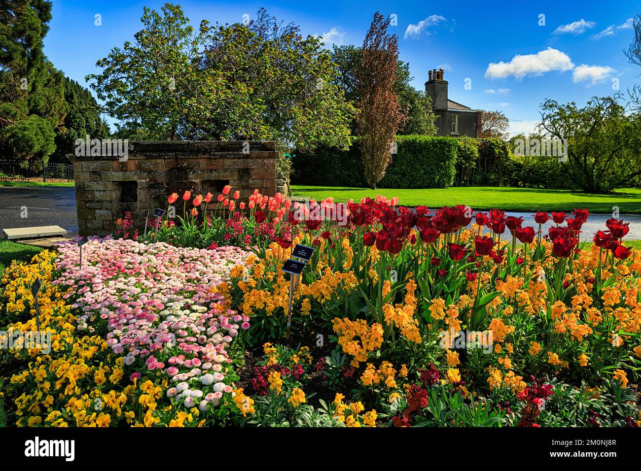 Flores, primavera en el Jardín Botánico, clima soleado, Dublín, Irlanda, Europa Foto de stock