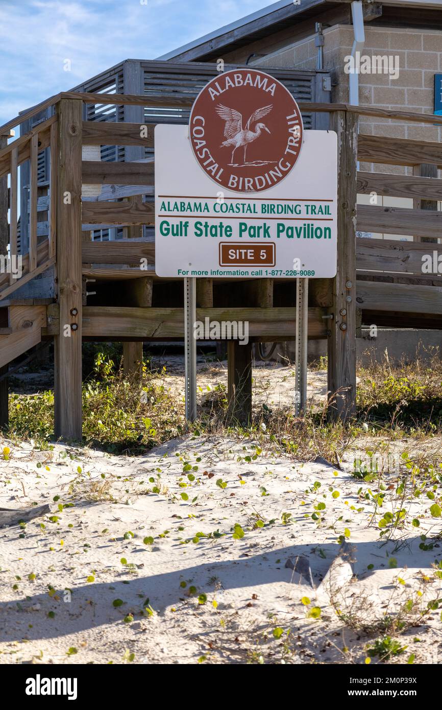Alabama Coastal Birding Trail Iniciar sesión en Gulf State Park Gulf Shores Alabama Site 5 en Gulf State Park Pavilion en el Golfo de México Foto de stock