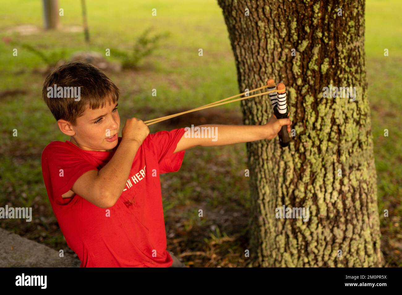 Un niño disparando un tirón cerca de un árbol Foto de stock