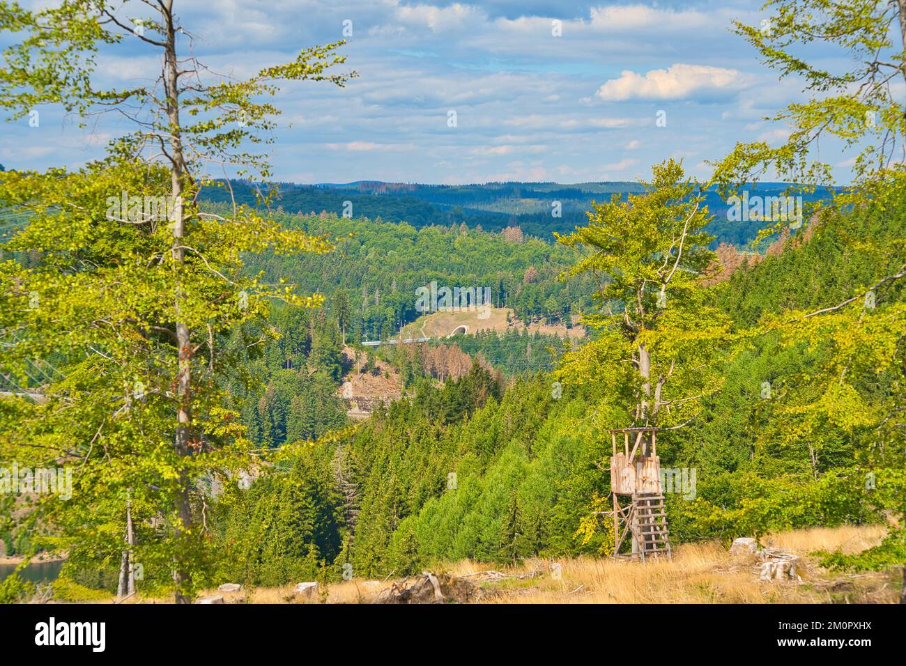Una antigua torre de observación de madera cerca de zonas verdes bajo un cielo nublado azul en un bosque Foto de stock