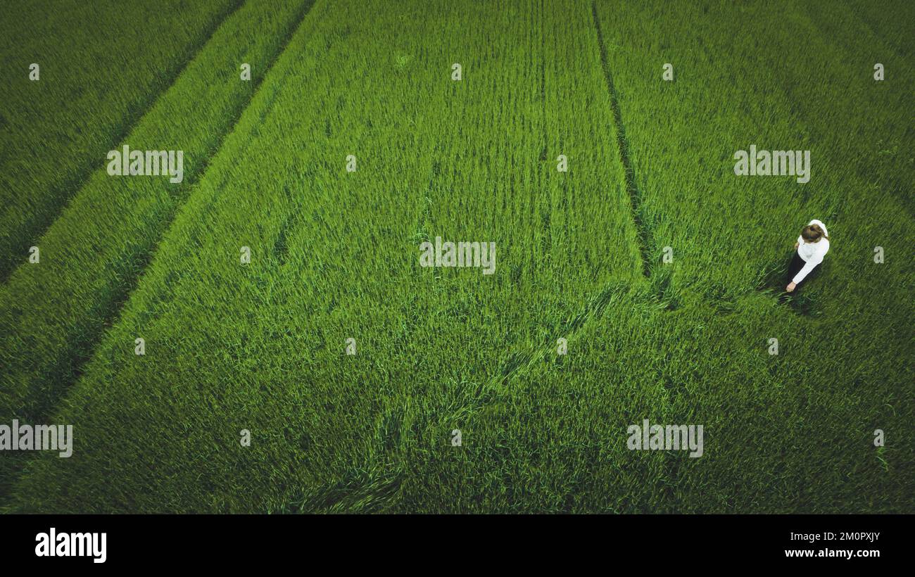 Una vista aérea de una niña en un campo verde Foto de stock