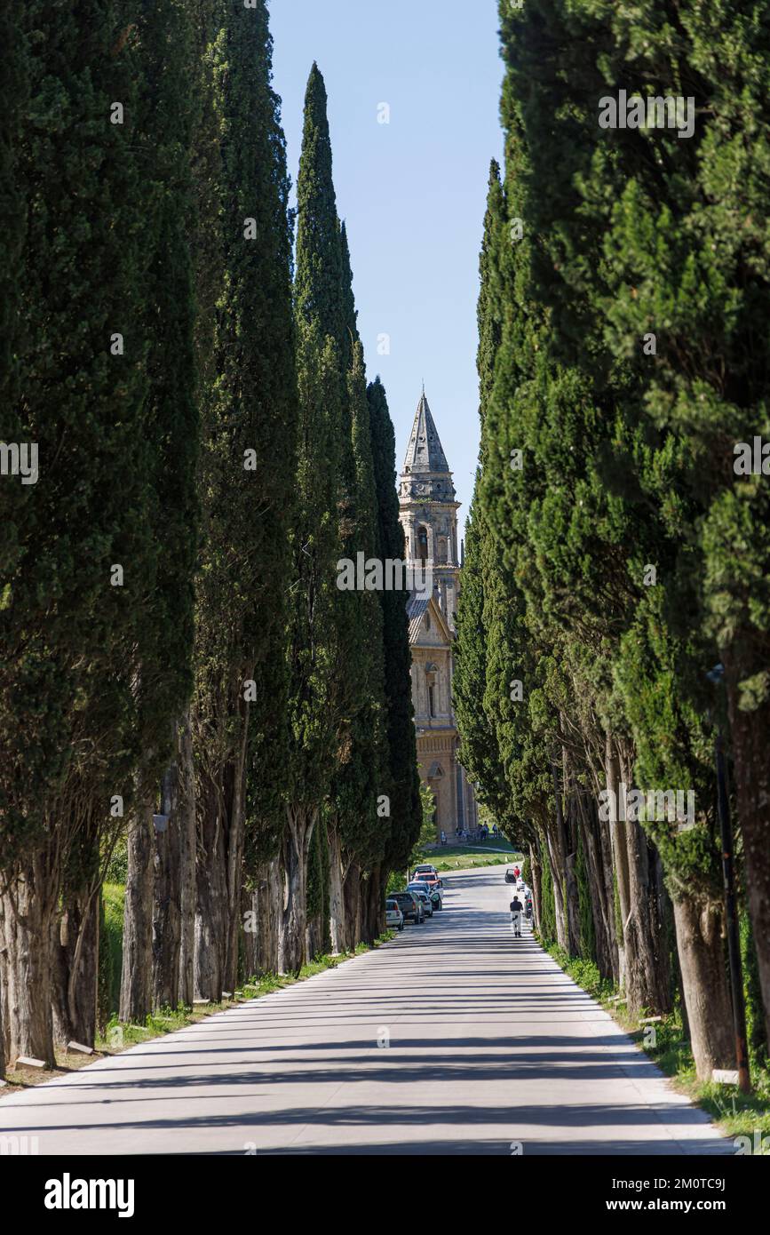 Italia, Toscana, Montepulciano, callejón cipresso que conduce al Santuario de la Madonna di San Biagio Foto de stock