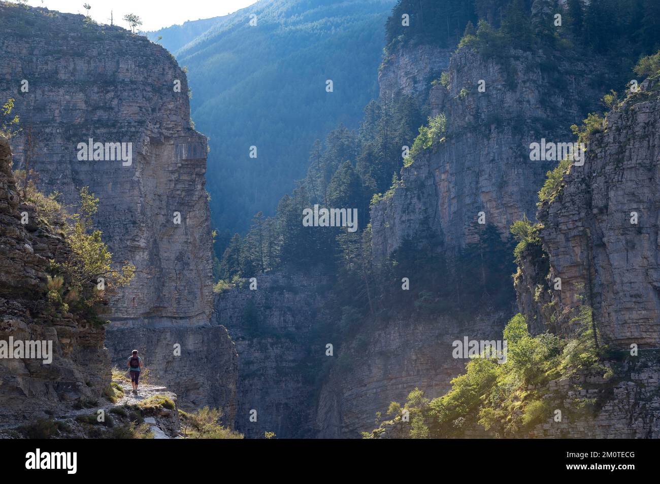 Francia, Alpes de Haute Provence, Colmars les Alpes, las gargantas de Saint Pierre, una caminata en un cañón en un camino que utiliza una cornisa natural Foto de stock