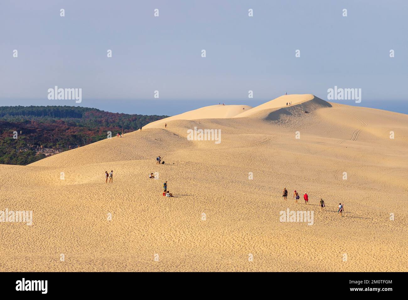 Francia, Gironde, La Teste de Buch, la duna de Pilat, miembro de la Red de Grandes Sitios de Francia, los turistas en la cima de la duna Foto de stock