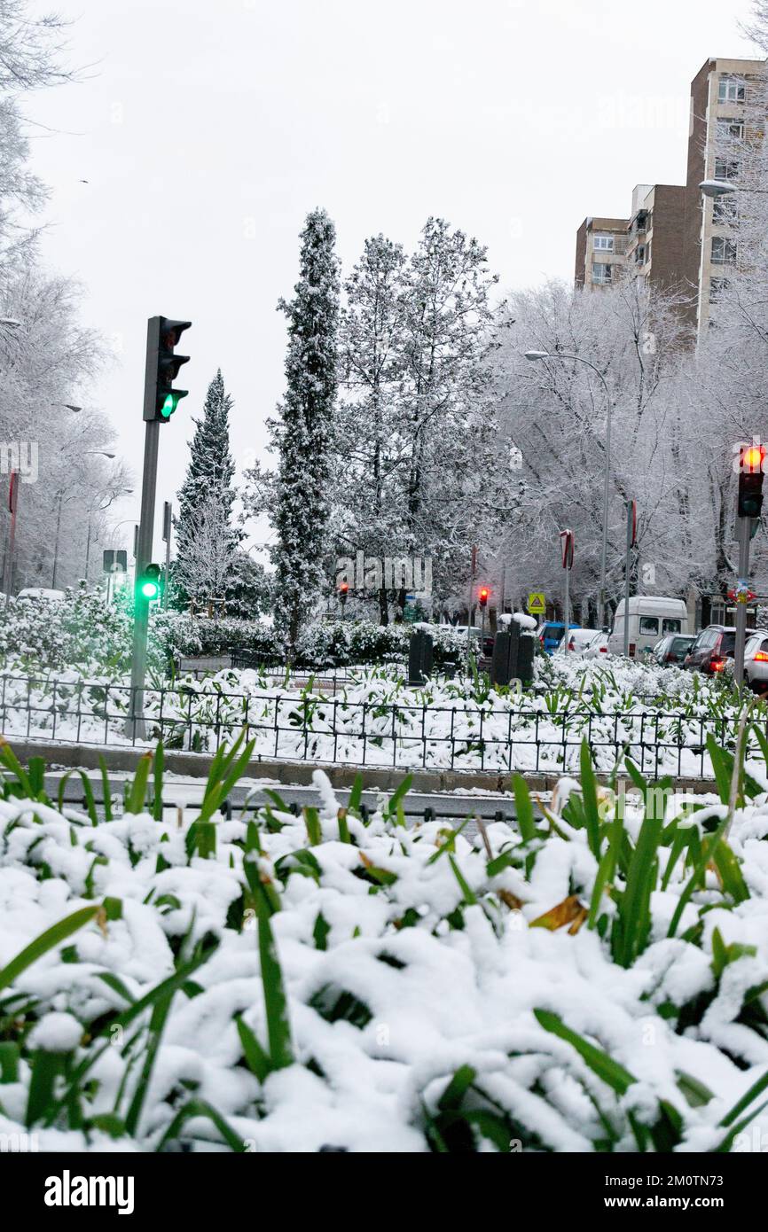 Nieve. Calles cubiertas de una manta blanca de nieve que cubre todos los elementos que hay en la calle. Coches completamente blancos. Noviembre. 2023. Ohio. ESTADOS UNIDOS Foto de stock