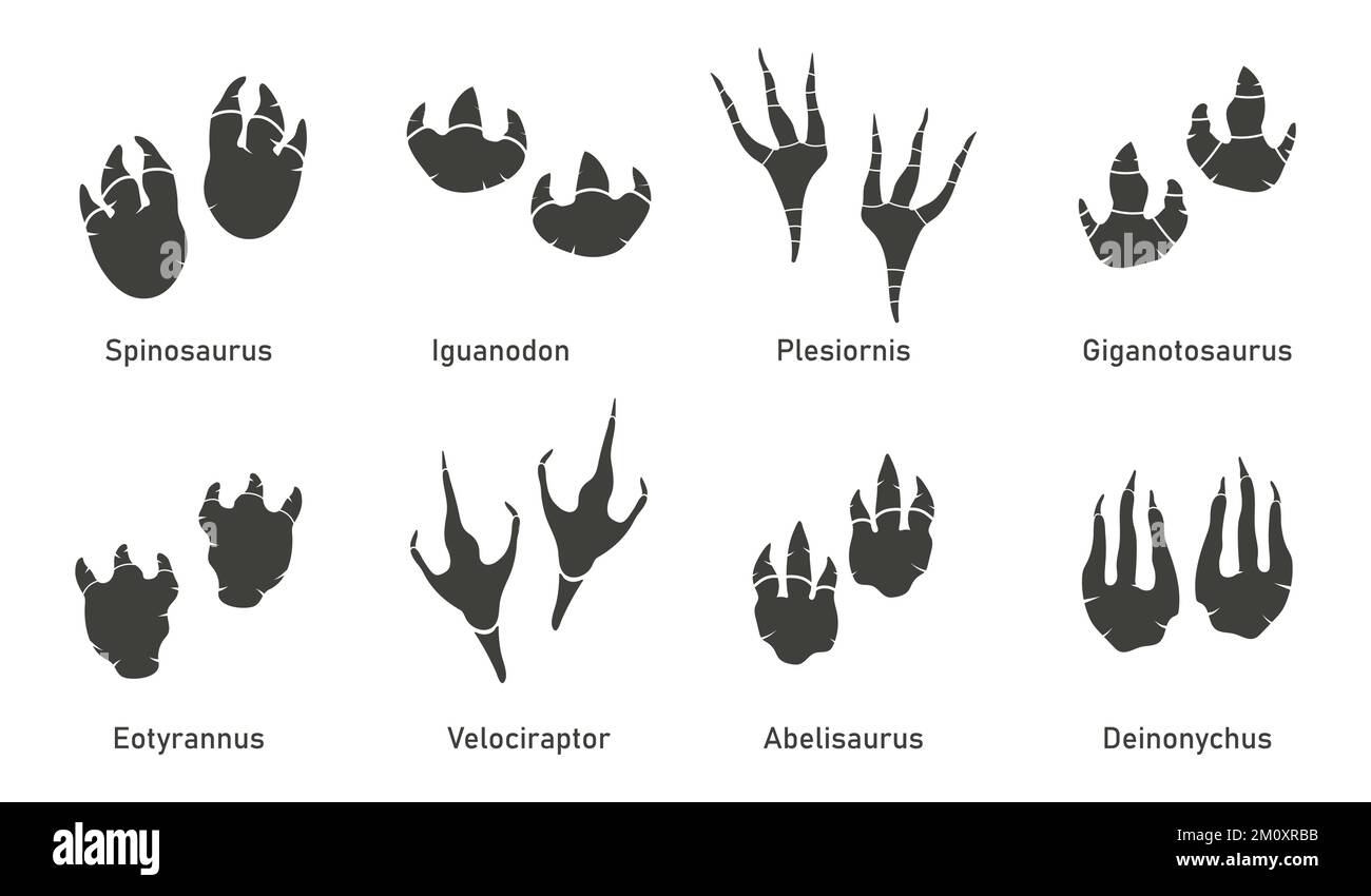 Conjunto de vectores de huella de dinosaurio silhoutte. Paleontología, historia vintage