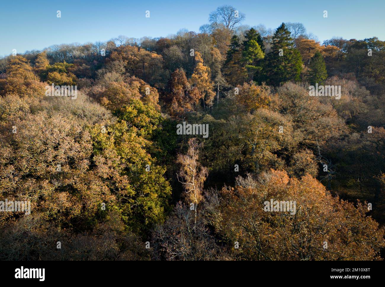 Paisajista inglesa fotografías e imágenes de alta resolución Alamy