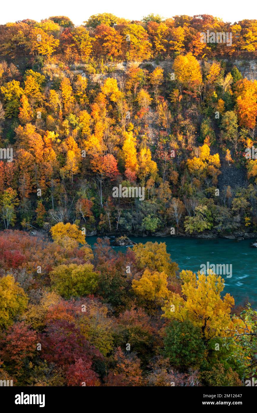 Canadá, Ontario, las Cataratas del Niágara, la Garganta del Niágara con el río Niágara en otoño con colores otoñales Foto de stock