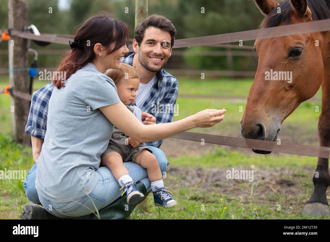 pareja con niño pequeño alimentando caballo en un campo Foto de stock