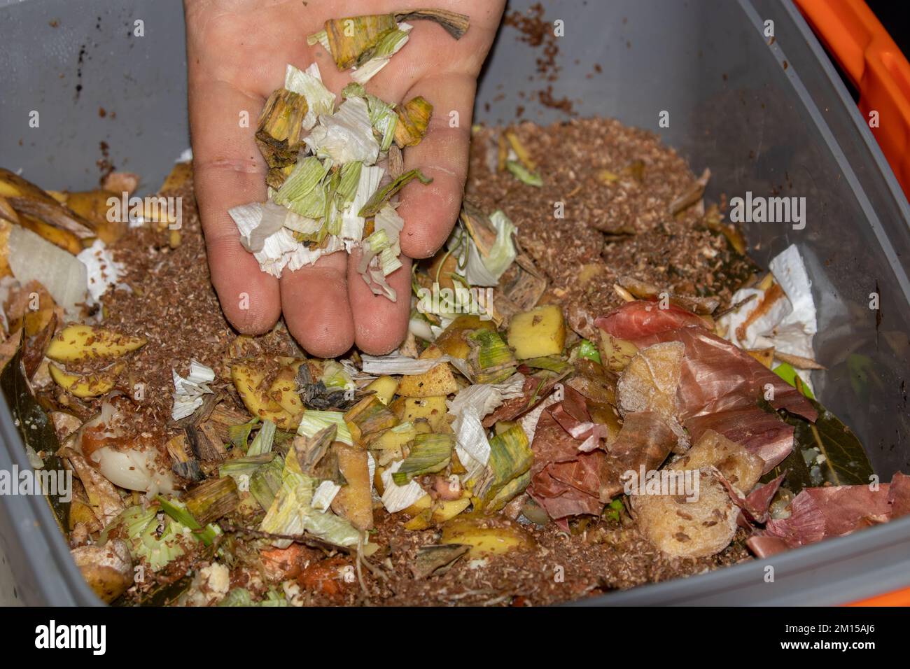 Bokashi fermentando y composting método. Compostaje en cocina con microorganismos Em eficaces que se impregnan en el salvado de trigo para fermentar fo Foto de stock
