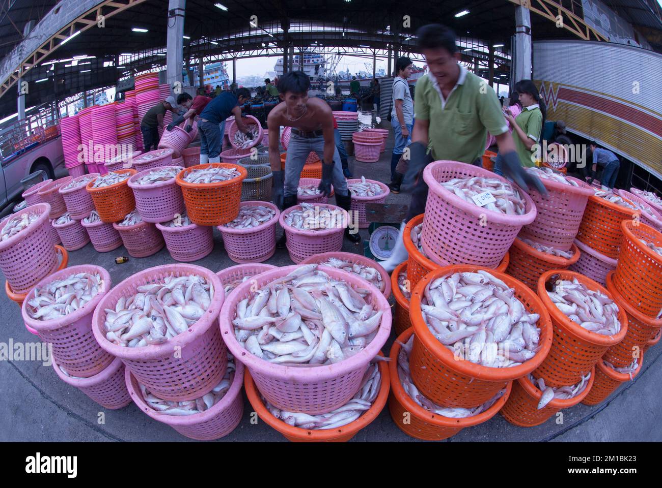 Mercado de mariscos de Talaythai, centro comercial de procesamiento de pescado y productos de mariscos integrado en el país en la provincia de Samutsakorn, Tailandia. Foto de stock