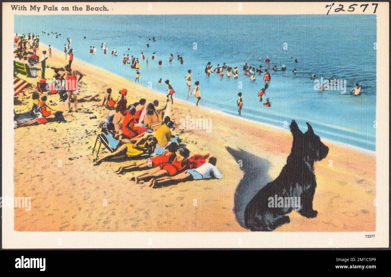 Con mis amigos en la playa, playas, perros, colección Tichnor Brothers,  postales de Estados Unidos Fotografía de stock - Alamy