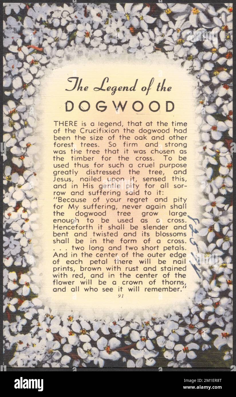 La leyenda del Dogwood , Dogwoods, Jesucristo, Tichnor Brothers