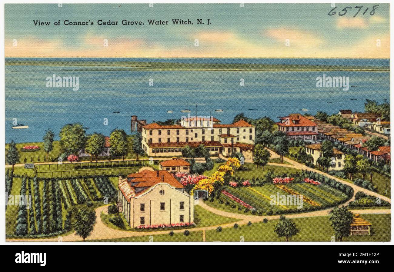 Vista de Connor's Cedar Grove, Water Witch, N. J. , Ciudades y pueblos, playas, Colección de los hermanos Tichnor, tarjetas postales de los Estados Unidos Foto de stock