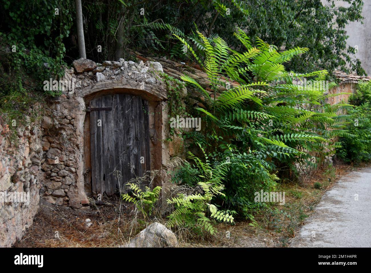 La puerta oculta Foto de stock