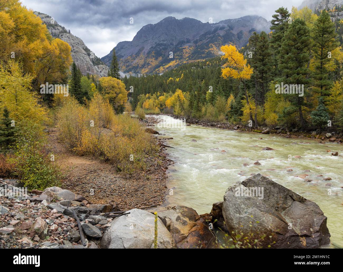 Árboles coloridos a lo largo del río Animas en Colorado Foto de stock