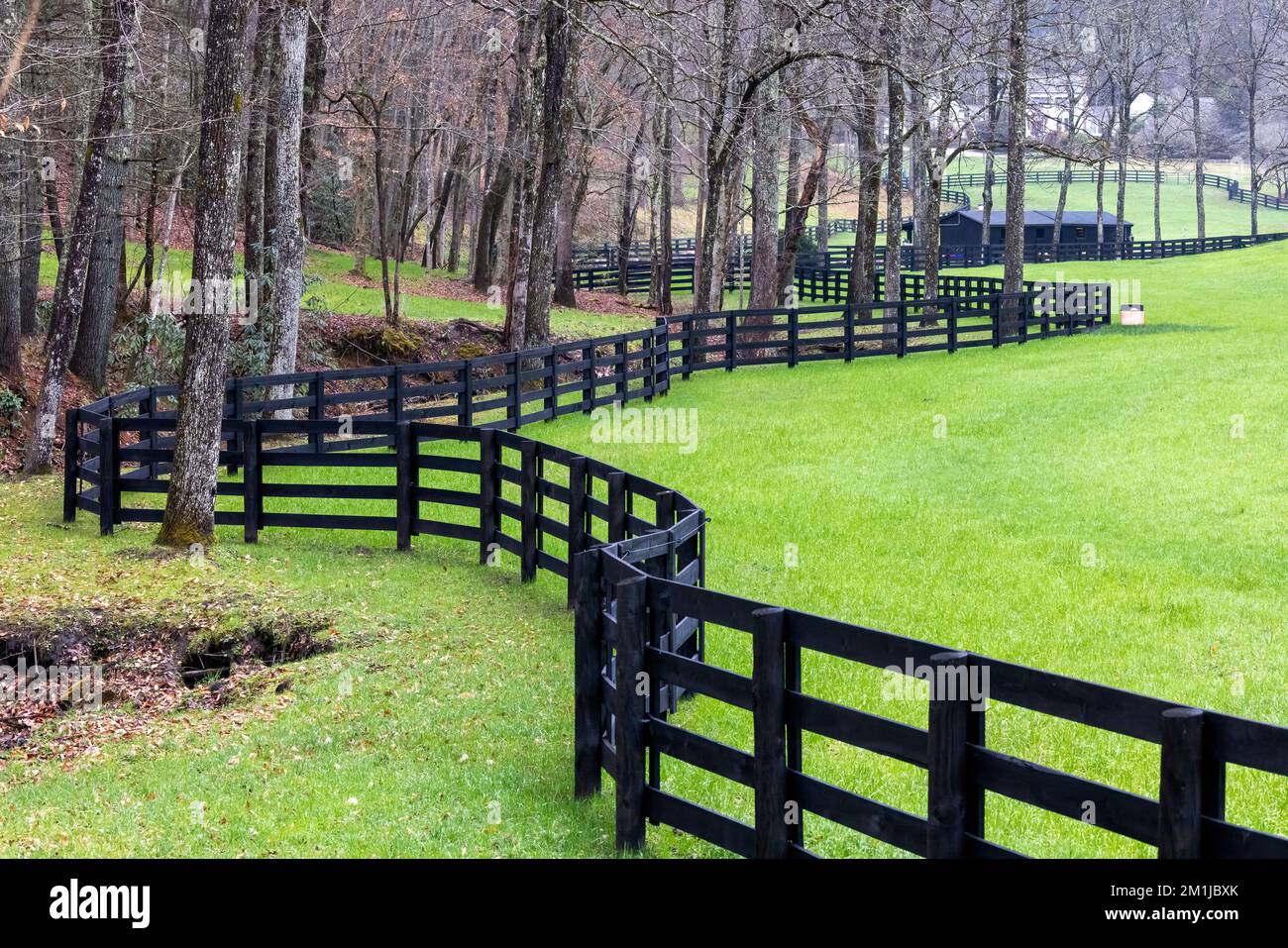 Línea de cerco, hierba verde y pasto - Brevard, Carolina del Norte, Estados Unidos Foto de stock