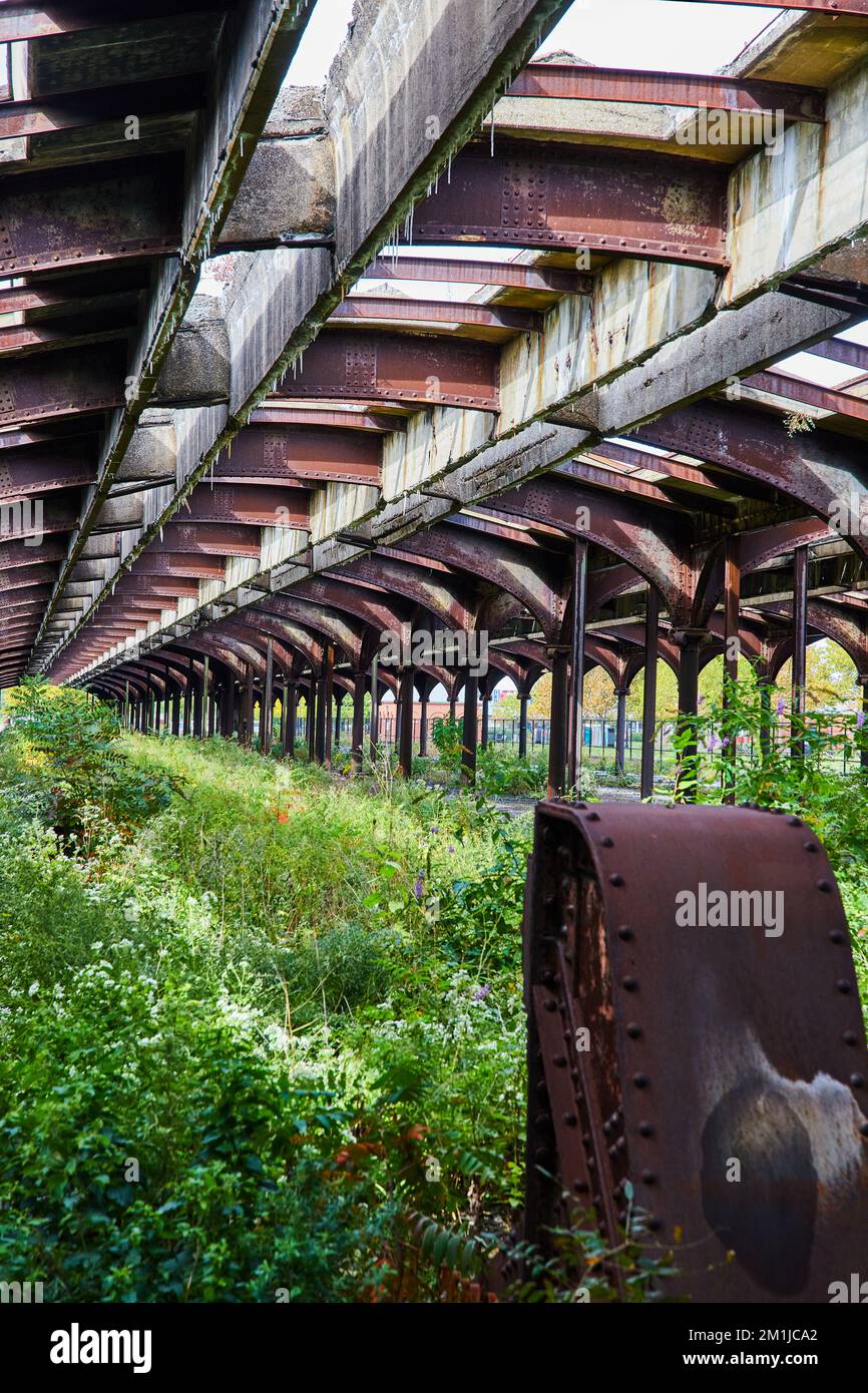 El exceso de crecimiento llena la estación abandonada de la vía del tren con el techo de acero arqueado al cielo Foto de stock