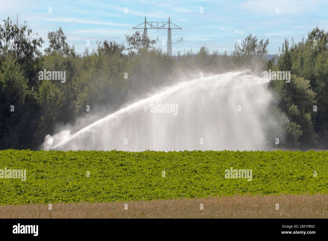 Motala Suecia Agosto 2022 agricultor rega sus campos con el calor del verano Foto de stock