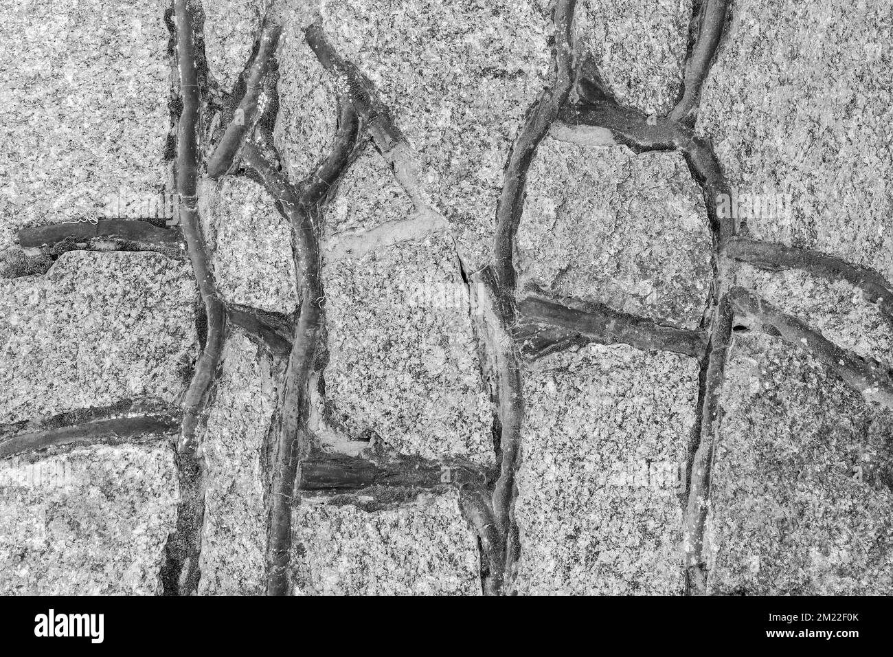 Adoquines roca gris oscuro hecho a mano piedra vieja textura de pared antiguo fondo. Foto de stock