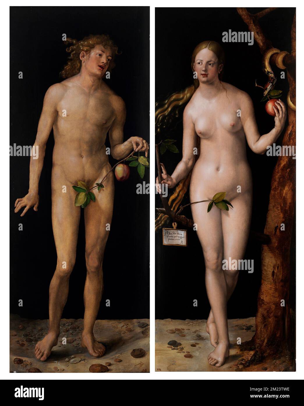 Adán y Eva, pintura de Albrecht Dürer Foto de stock