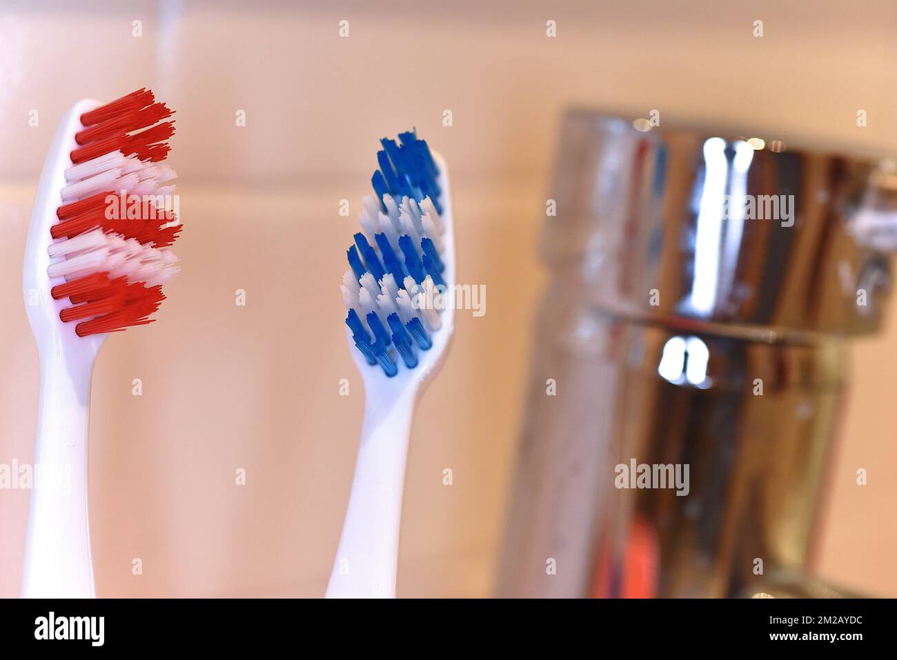 Brosse fotografías e imágenes de alta resolución - Página 7 - Alamy