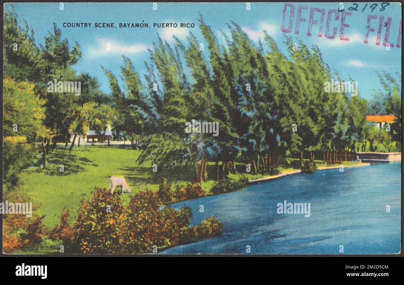 Escena campestre, Bayamón, Puerto Rico , cuerpos de agua, árboles