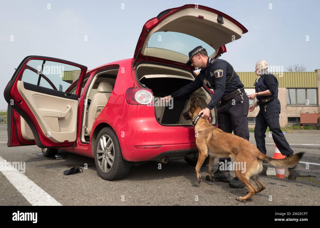 se permiten perros en el festival ithaca