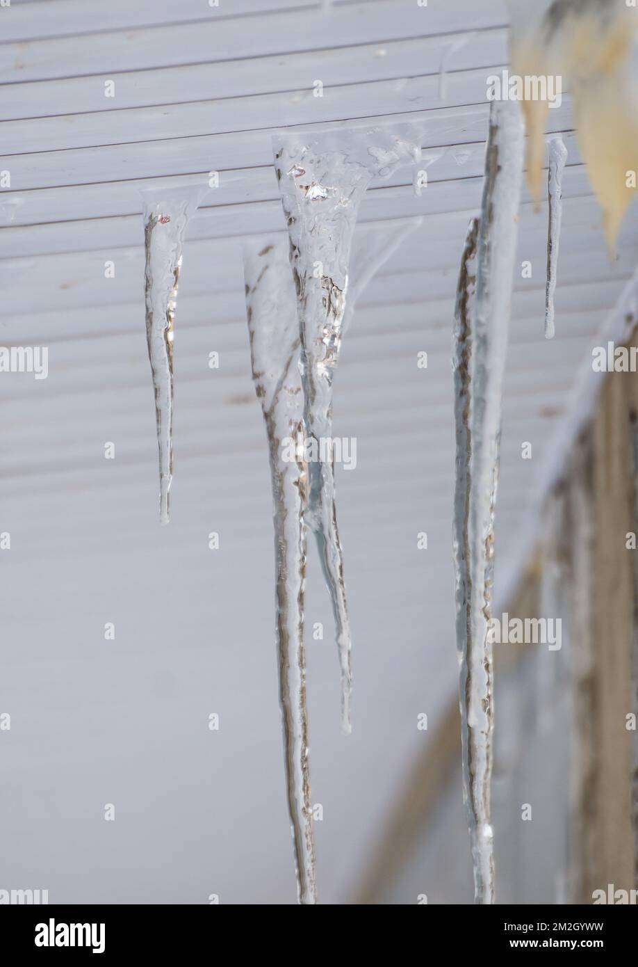 Múltiples carámbanos de fusión colgando a través de grietas, primavera o invierno. Moderna cornisa de plástico. Grandes cascadas de carámbanos cuelgan en desorden. Día de invierno nublado, luz suave. Foto de stock