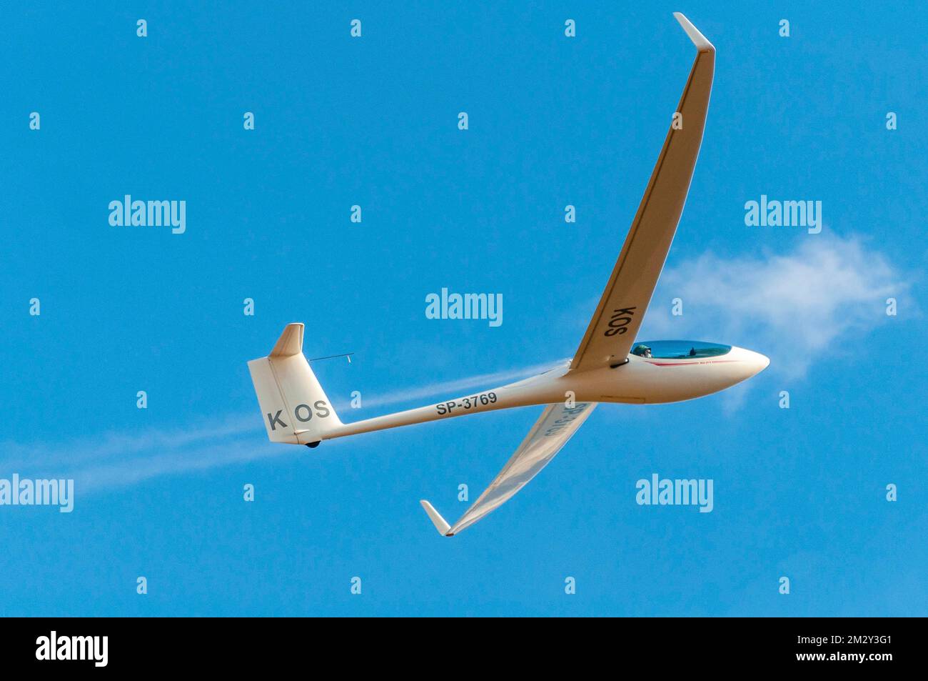 Parapente, ASG29, vuelo, deportes aéreos, sin motor, Cielo, Alemania Foto de stock