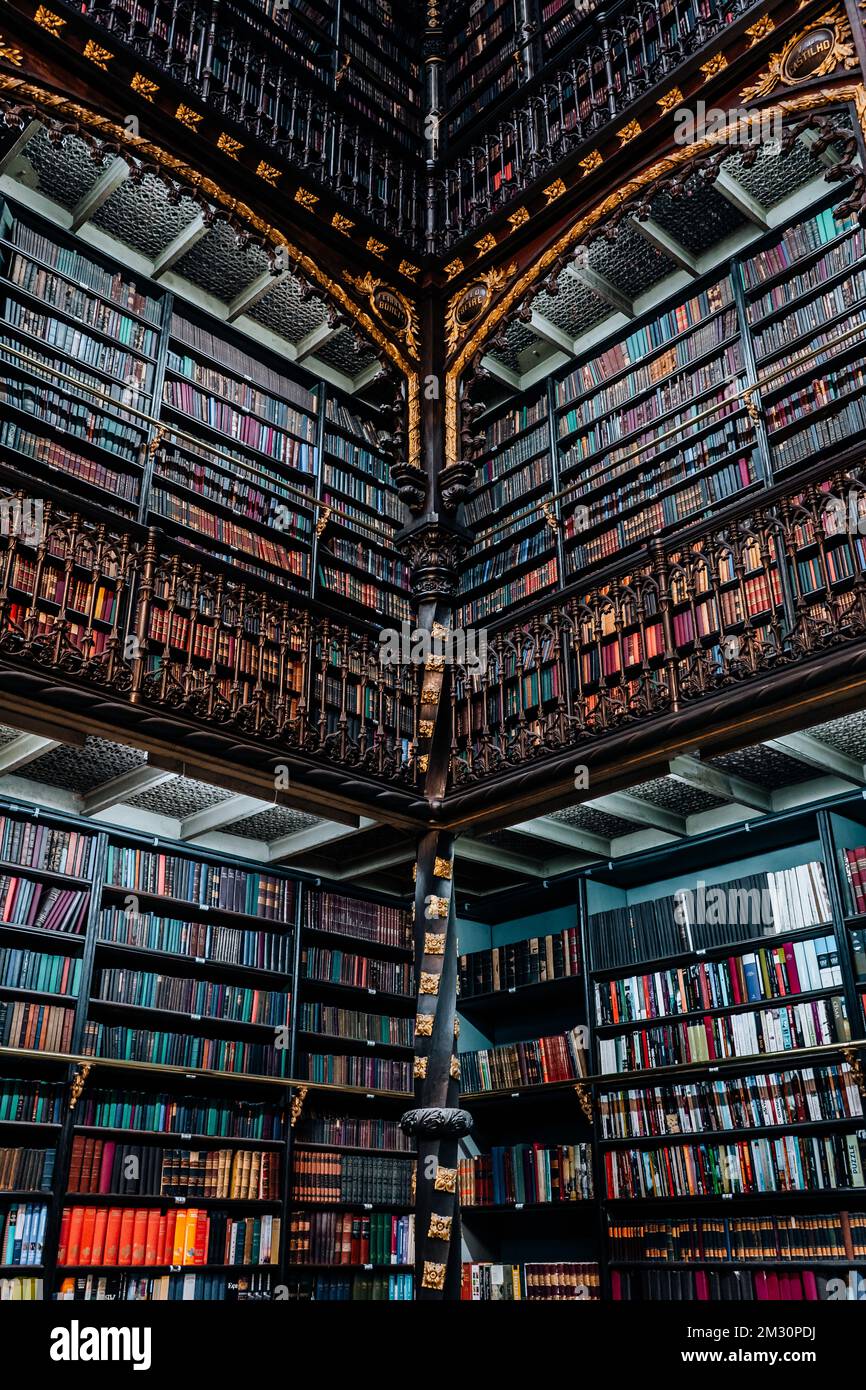 Real Portugués de Lectura El Mundo de Bibliotecas Más