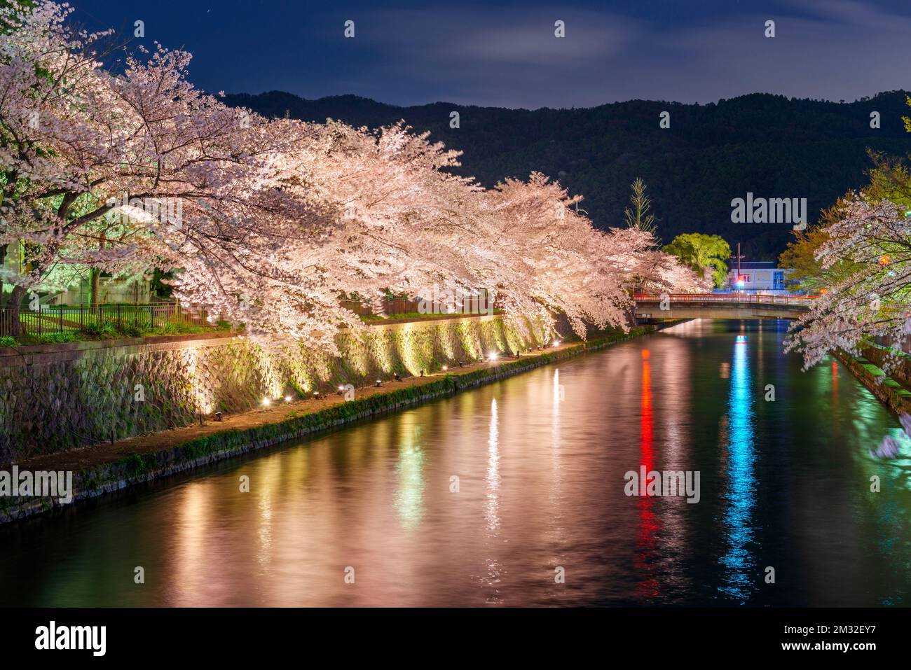 Kyoto, Japón, en el Canal de Okazaki durante la temporada de primavera de los cerezos en flor. Foto de stock